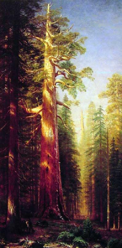 Albert Bierstadt The Great Trees, Mariposa Grove, California